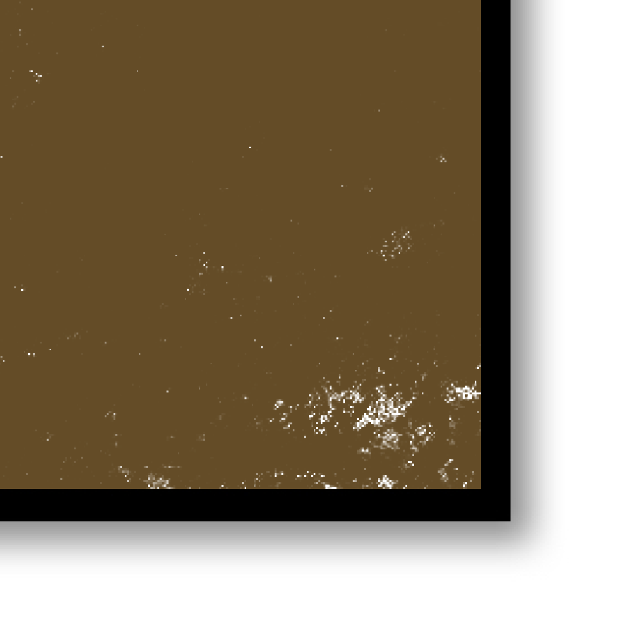 Canvas Print: "William" (Be Yourself Portrait Collection)