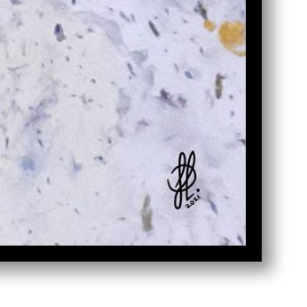 Canvas print: "Venus #1" (Rectangle)