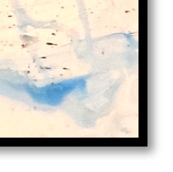 Canvas print: "Blue Octopus" (Rectangle)